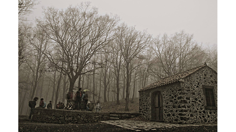 Chi Ha Paura Del Bosco Di Sera?