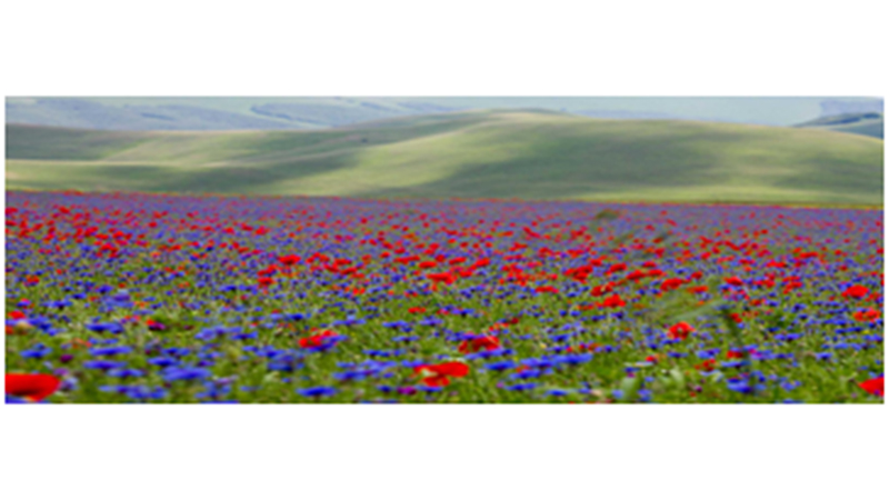 Vivere La Montagna In Amicizia