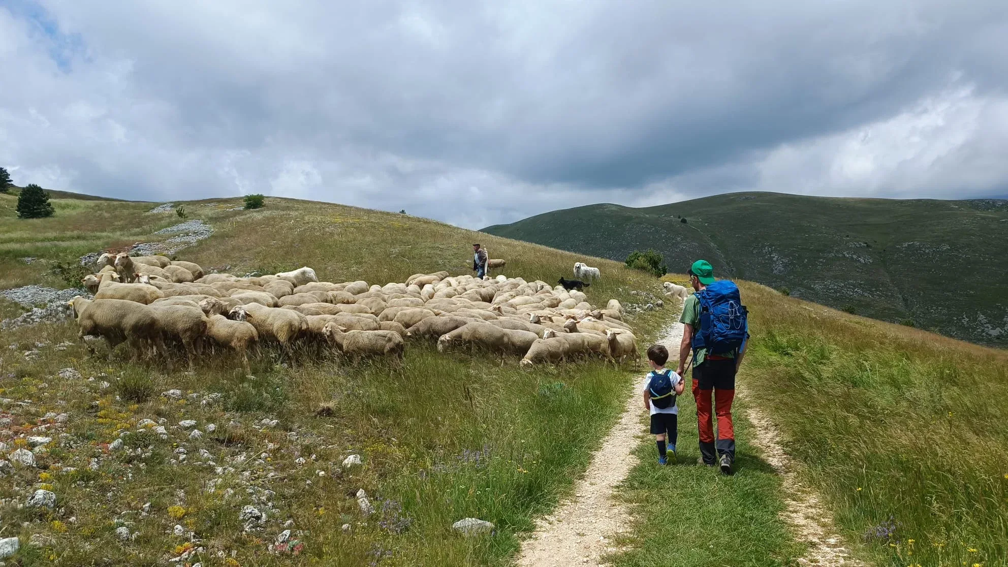 E’ uscito il video del FAMILY CAI!