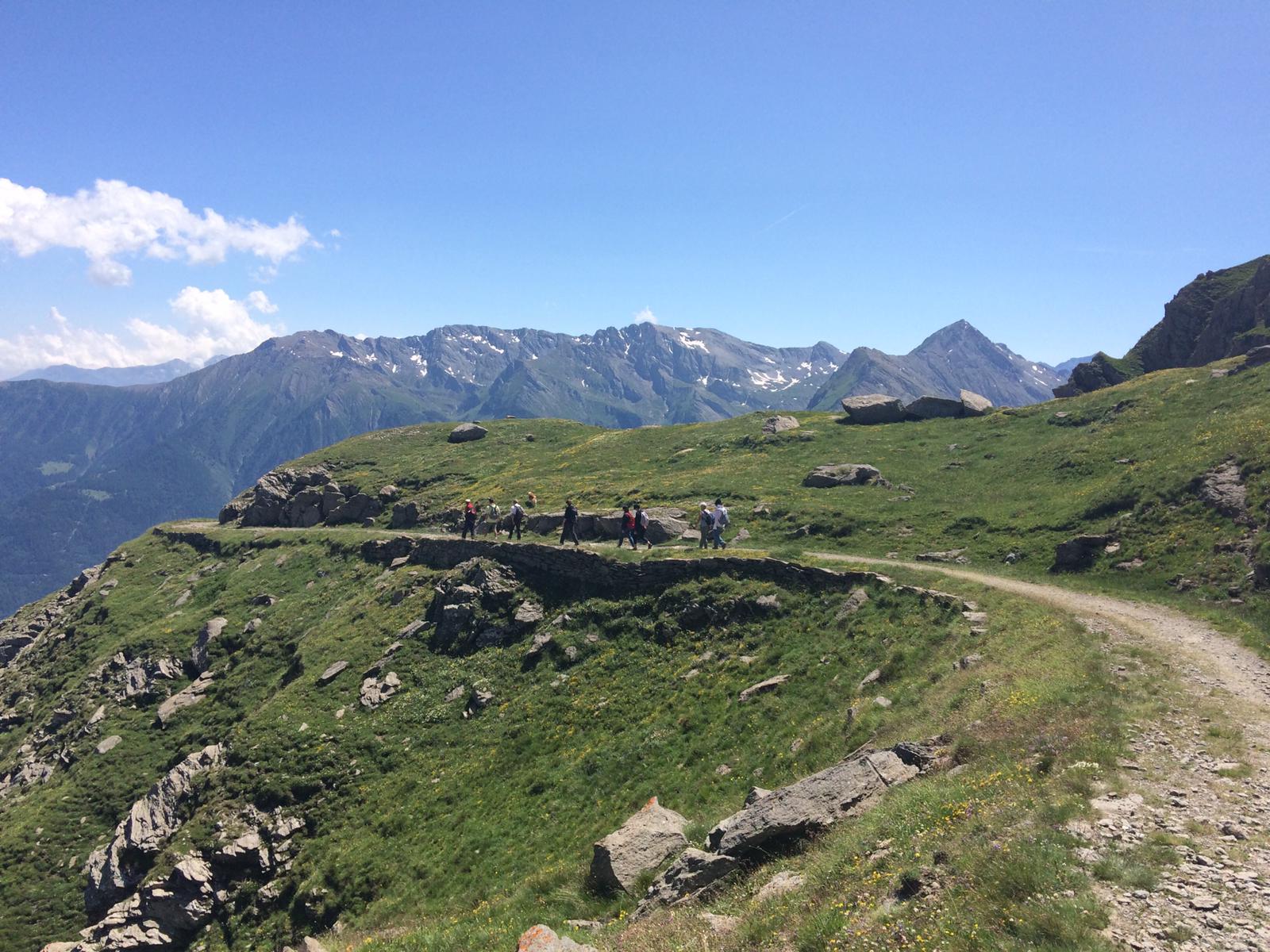 Avremo Tutti Bisogno Di Montagnaterapia