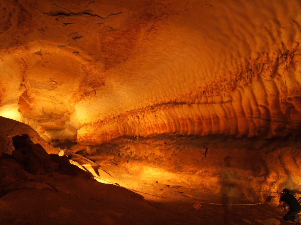 “speleo Dentro – Viaggio Al Centro Della Terra, Ovvero Incubatore Tecnico Scientifico Per Giovani Speleologi”