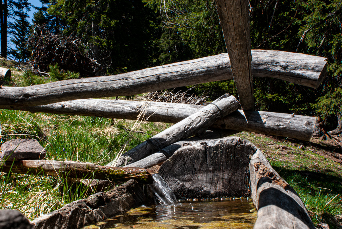 Corsi E Aggiornamenti 1 forest 3 - CAI Tutela Ambiente Montano Alto Adige