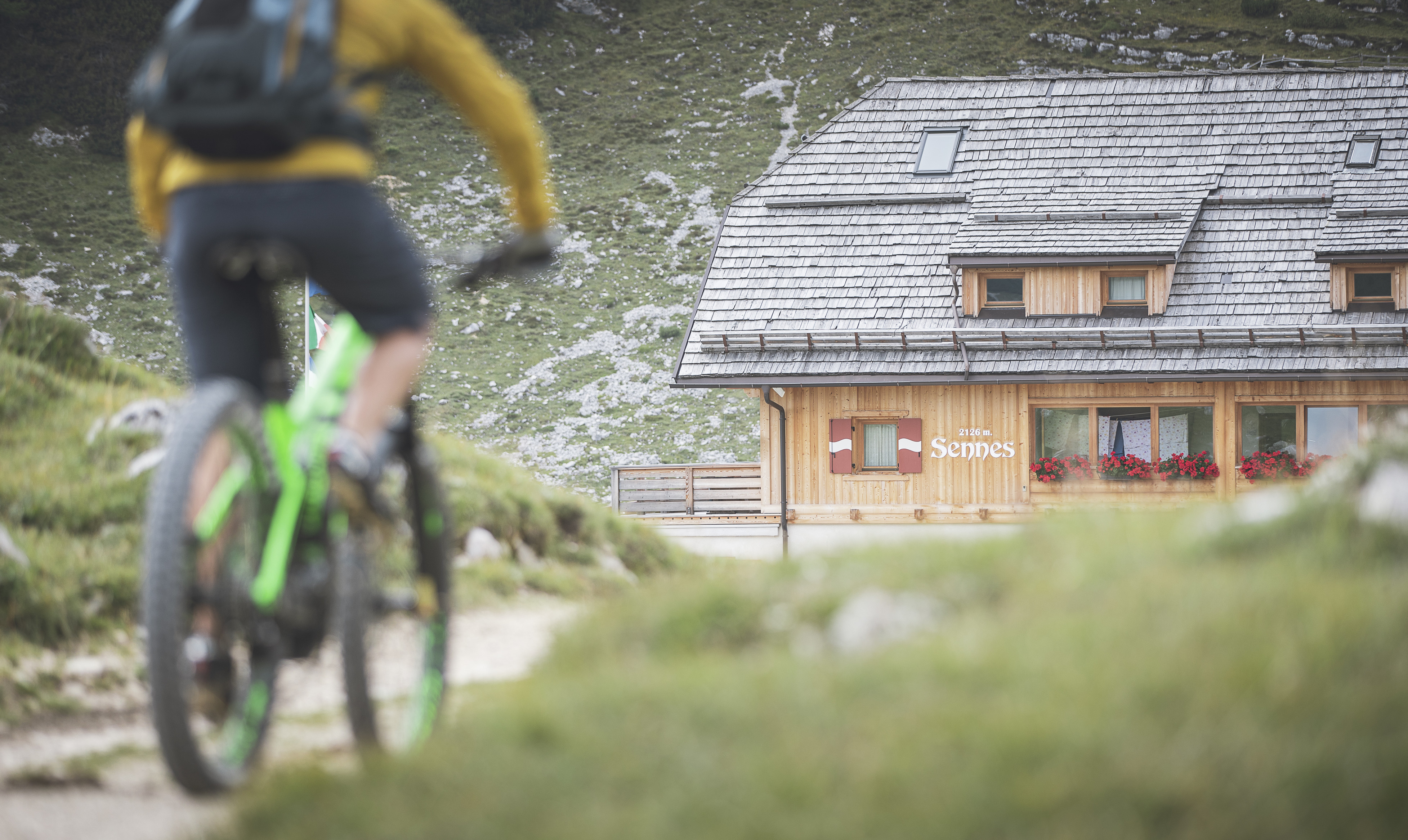 Presentazione Tam Alto Adige Pdf 1 idm07270cko - CAI Tutela Ambiente Montano Alto Adige