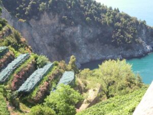 Il Limone Costa D’amalfi, L'agricoltura Eroica e I Terrazzamenti a Salvaguardia del Territorio e Della Biodiversità 12 11 2 - CAI Tutela Ambiente Montano Campania