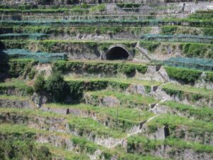 Il Limone Costa D’amalfi, L'agricoltura Eroica e I Terrazzamenti a Salvaguardia del Territorio e Della Biodiversità 13 13 1 - CAI Tutela Ambiente Montano Campania