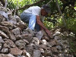 Il Limone Costa D’amalfi, L'agricoltura Eroica e I Terrazzamenti a Salvaguardia del Territorio e Della Biodiversità 14 14 1 - CAI Tutela Ambiente Montano Campania