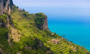 Il Limone Costa D’amalfi, L'agricoltura Eroica e I Terrazzamenti a Salvaguardia del Territorio e Della Biodiversità 9 8 3 - CAI Tutela Ambiente Montano Campania
