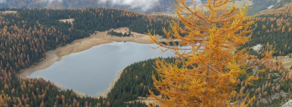 lago 2 1024x376 1 - CAI Tutela Ambiente Montano Lombardia