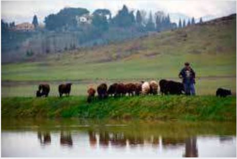 2016 11 - CAI Tutela Ambiente Montano