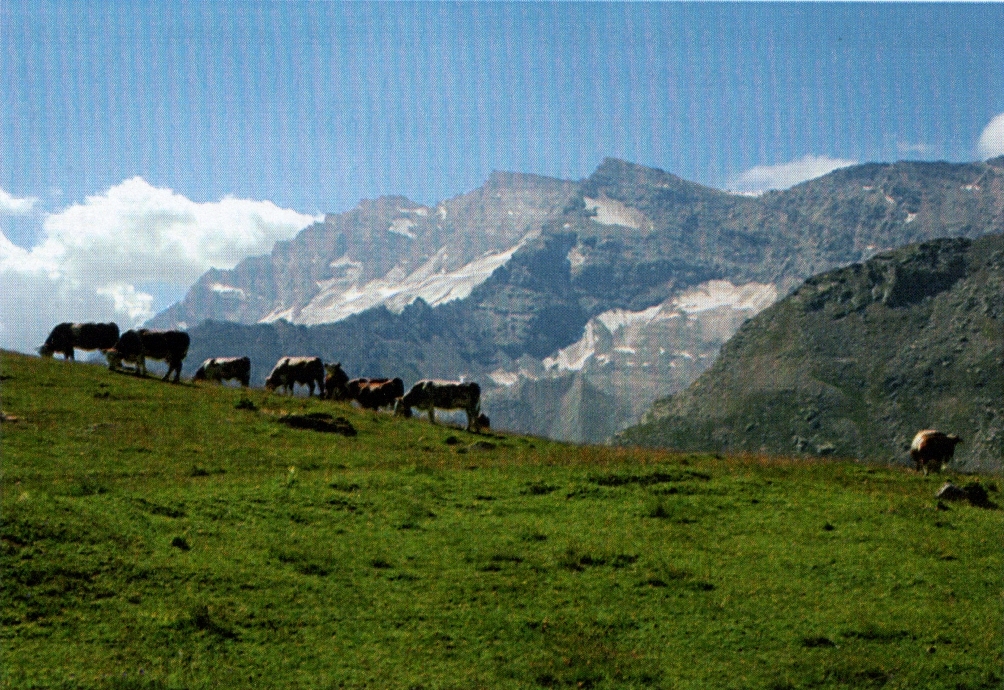 2022 04 - CAI Tutela Ambiente Montano