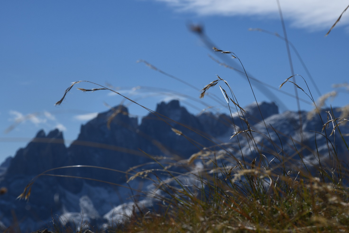 Osservatorio 12 2022 - CAI Tutela Ambiente Montano