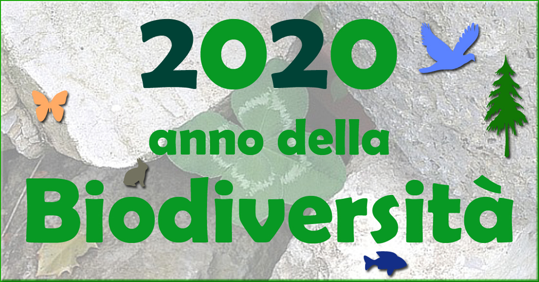 logo biodiversita 2020 cc - CAI Tutela Ambiente Montano