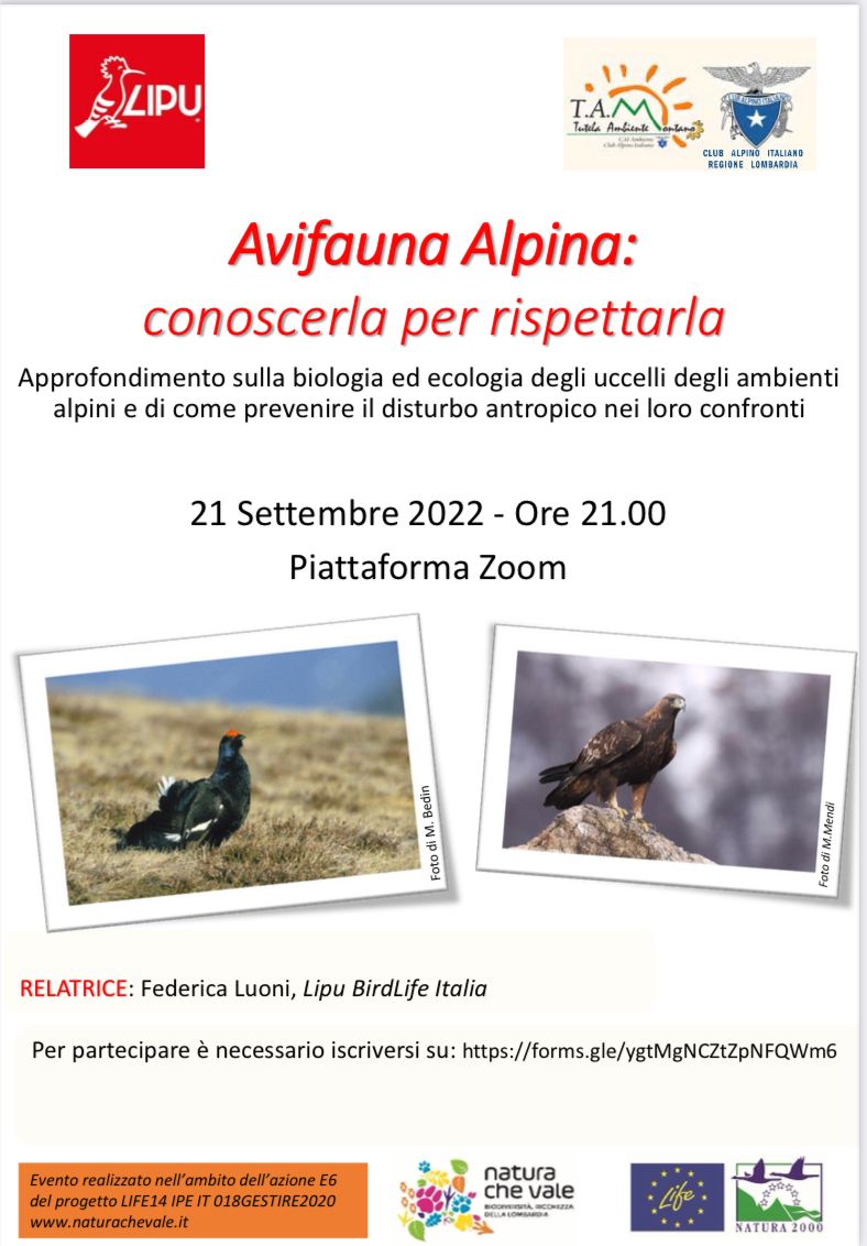 Locandina serata avifauna