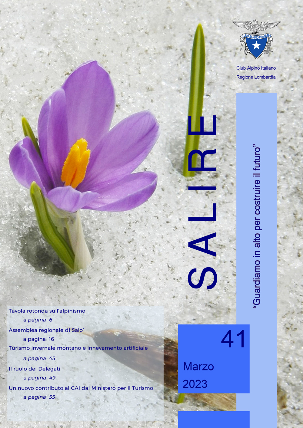 SALIRE NUMERO 41 finale 1