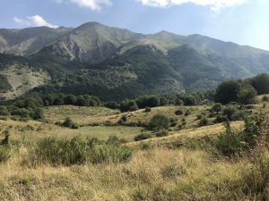 Comportamenti corretti degli escursionisti e take away in diversi rifugi nella prima settimana di Fase 2 in montagna