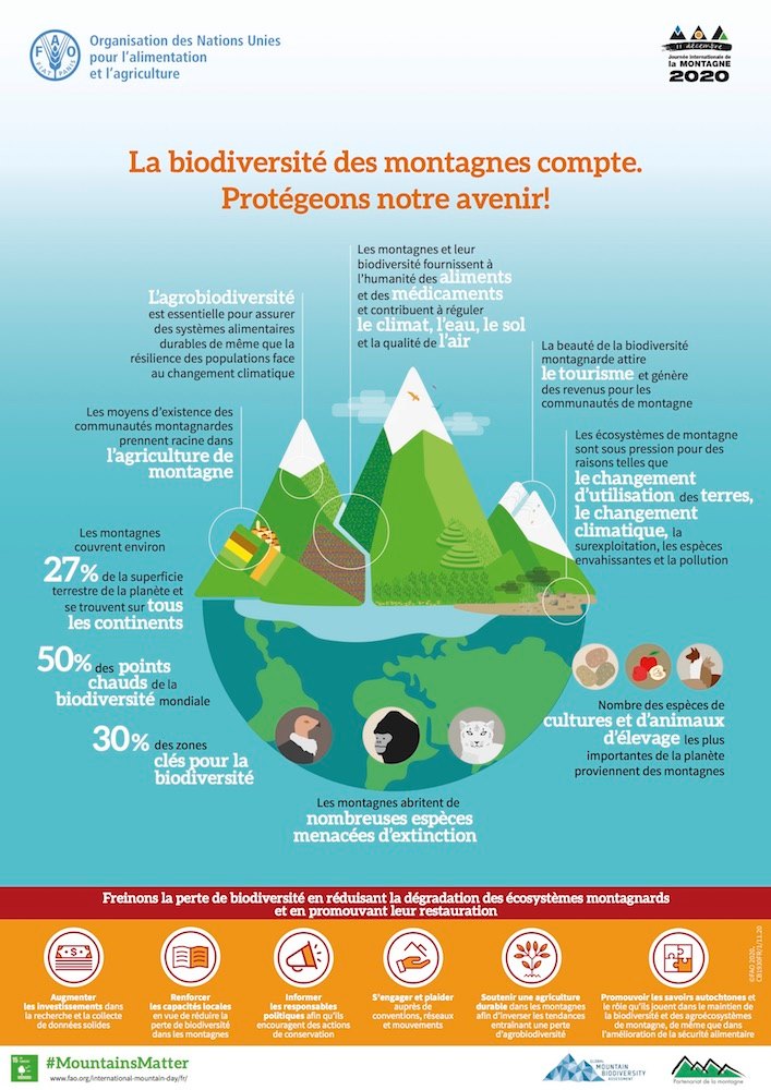 Fermiamo la perdita di biodiversità e il degrado degli ecosistemi montani