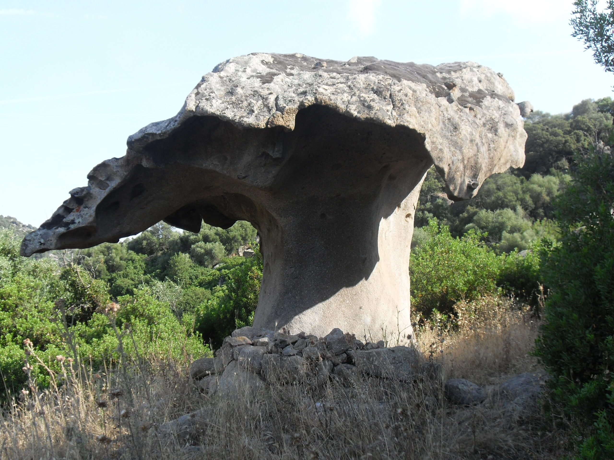 FUNGO.NO SCORIE scaled 1 - CAI Sardegna