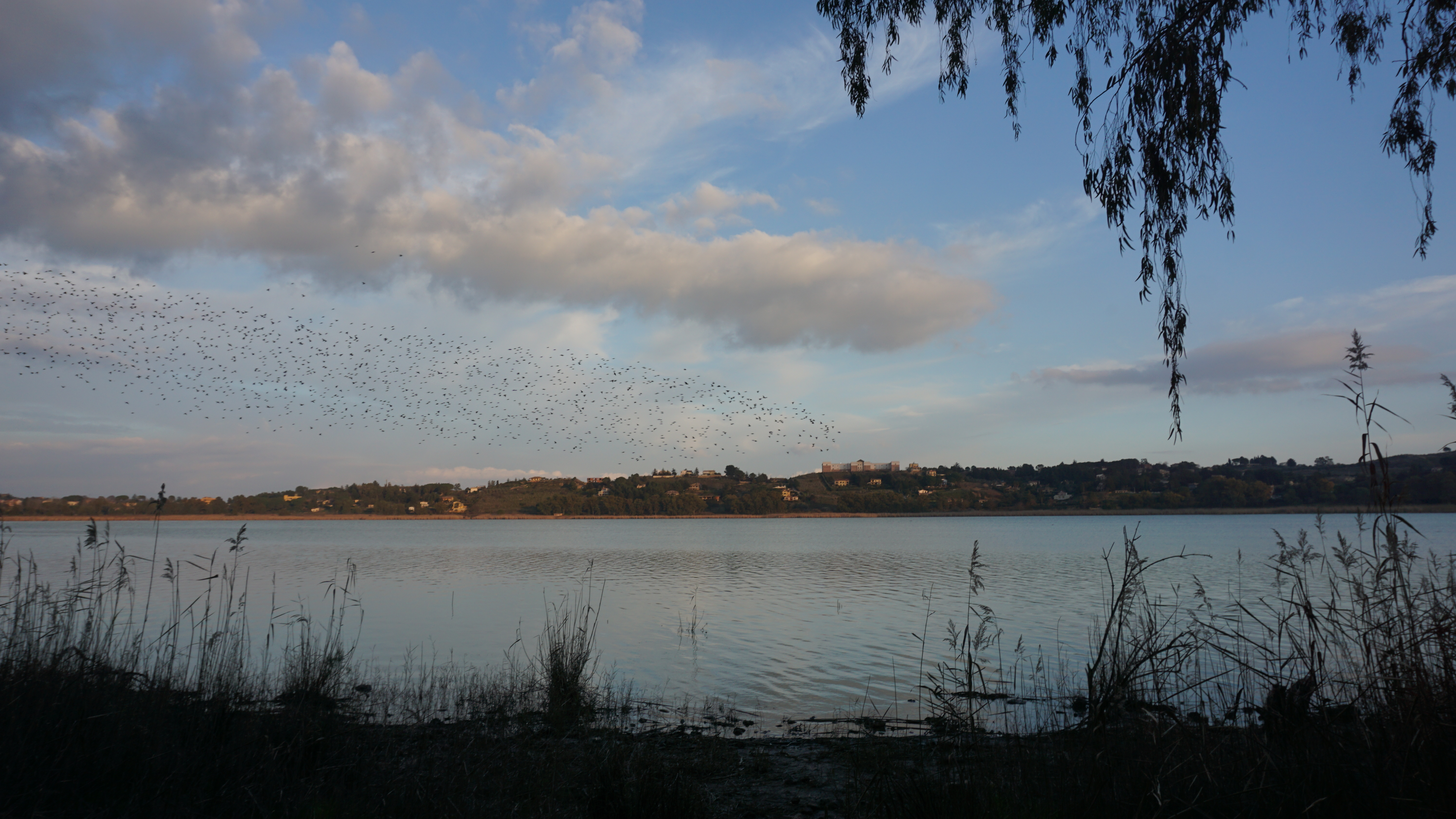 Estensione Delle Aree Protette Siciliane 1 DSC04034