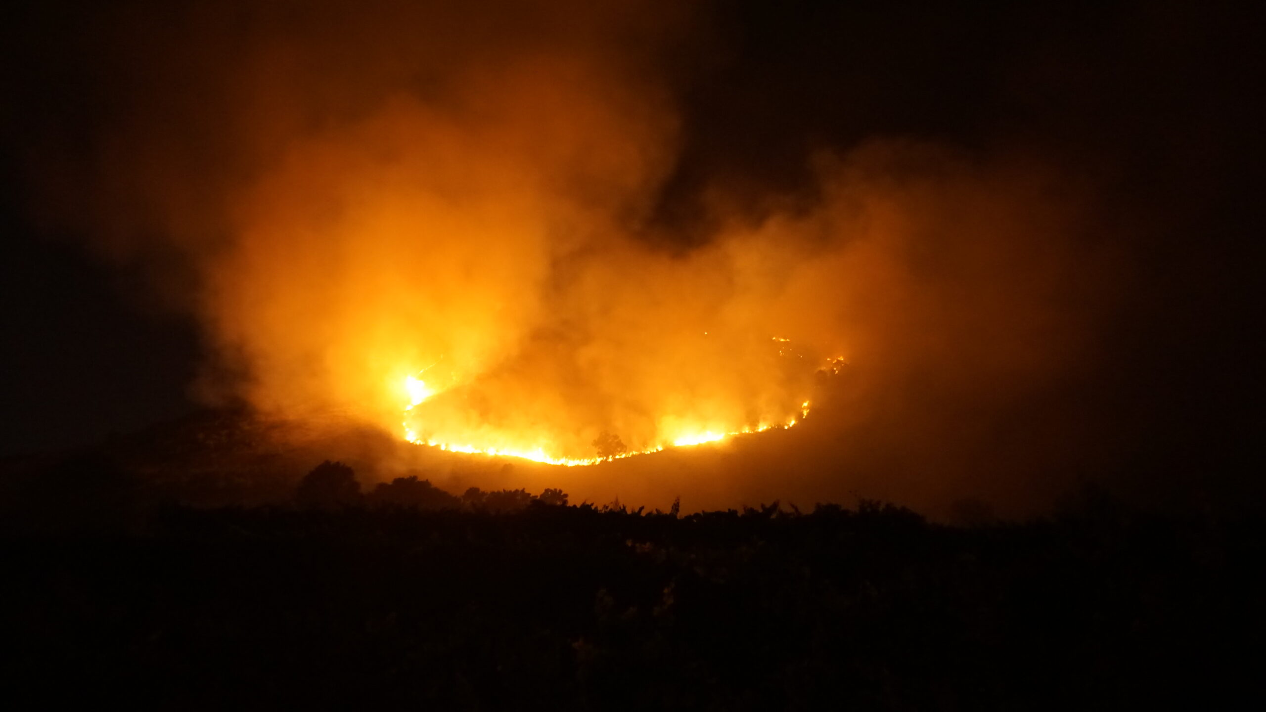 Contro I Piromani Va Applicato Il Reato Di Disastro Ambientale