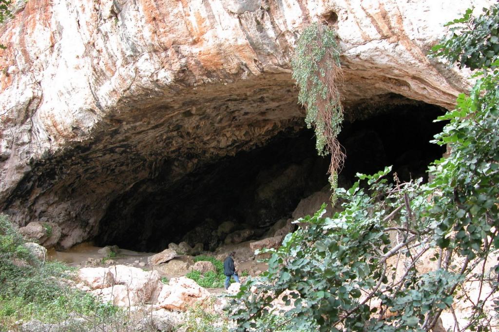 Riserva Grotta Conza 2 ingresso grotta - CAI Sicilia