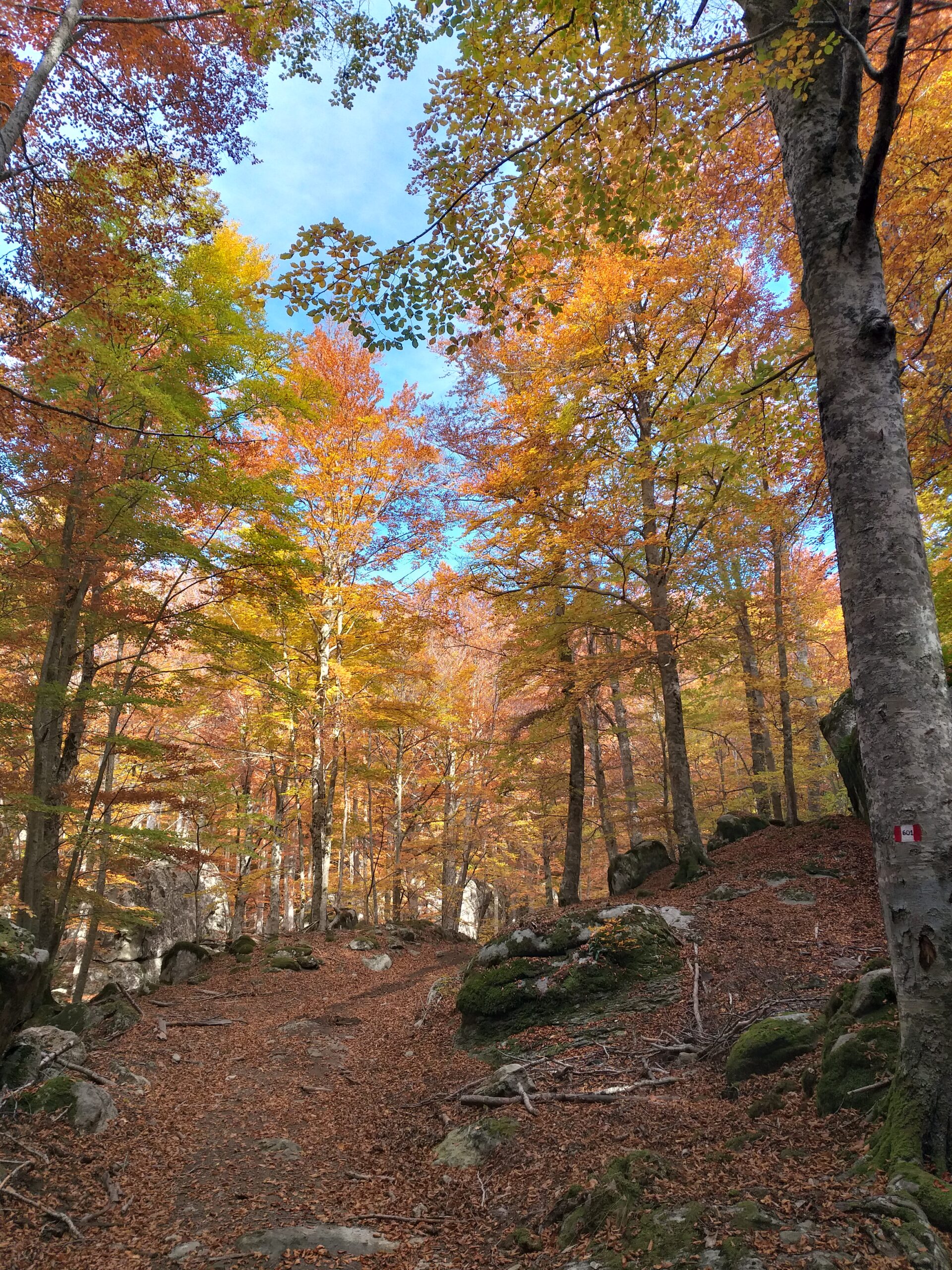 Intersezionale Al Monte Amiata – 16 Ottobre 2022