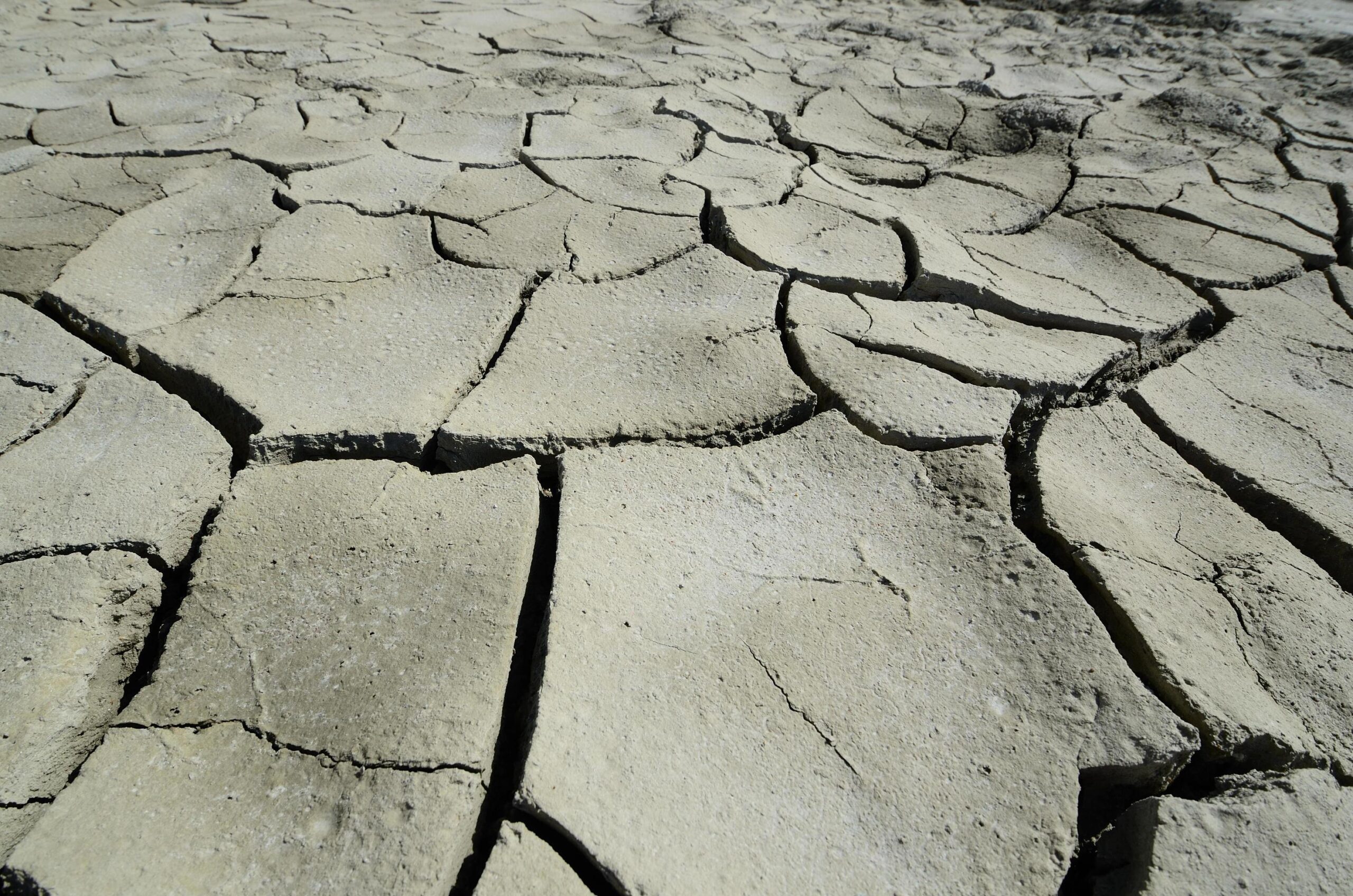 “la Montagna Nell’era Del Cambiamento Climatico” – 101° Congresso Cai