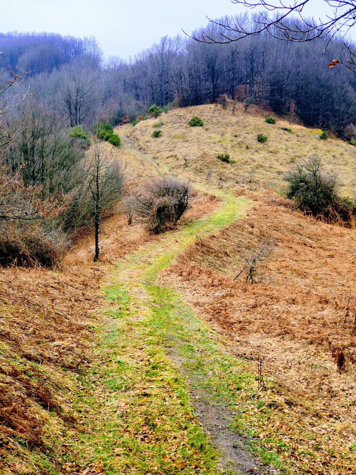 giogo di Villore - CAI Toscana