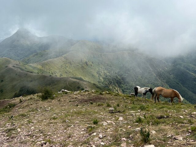 img 3382 original edited - CAI Toscana