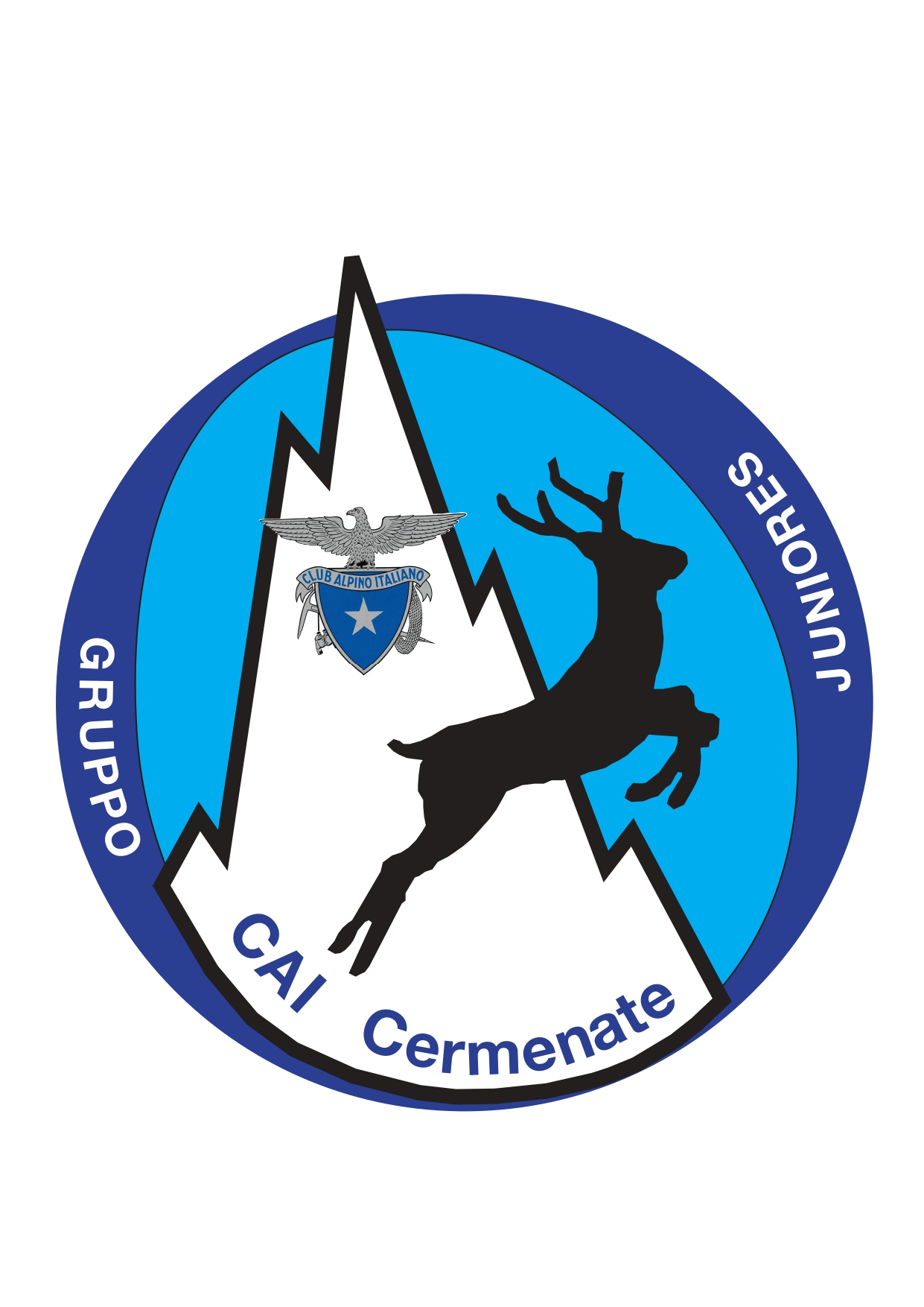 Juniores 1 juniores logo ufficiale jpg