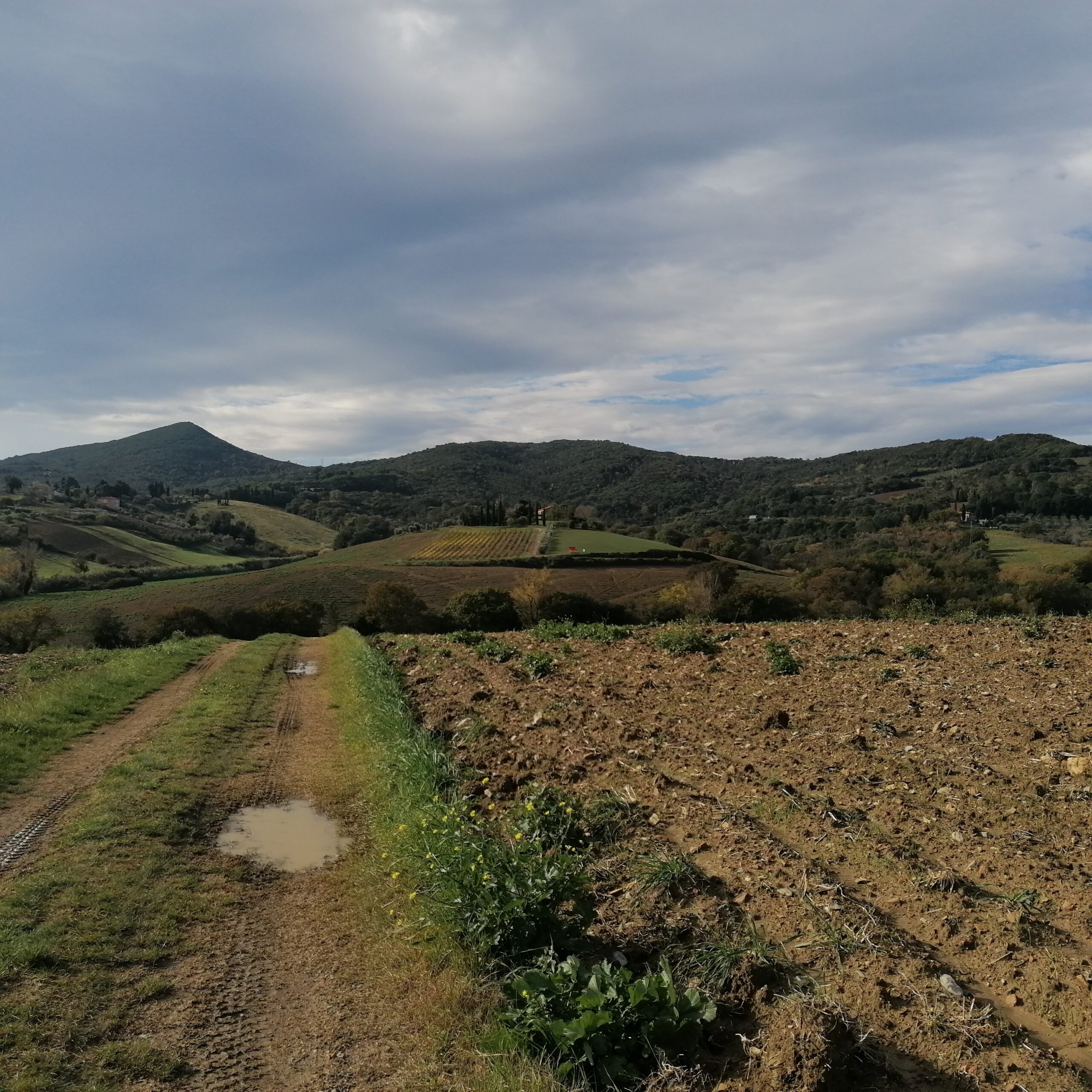 3 dic – Escursione nel Parco di Camaiano e Pranzo con Polenta (escursione)