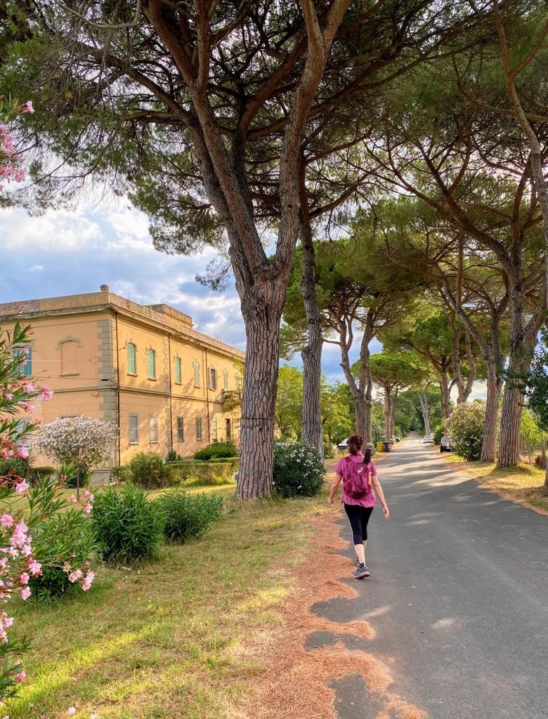 29 apr – Cammino dell’Etruria: Tappa 1 da Pisa a Coltano (escursione)