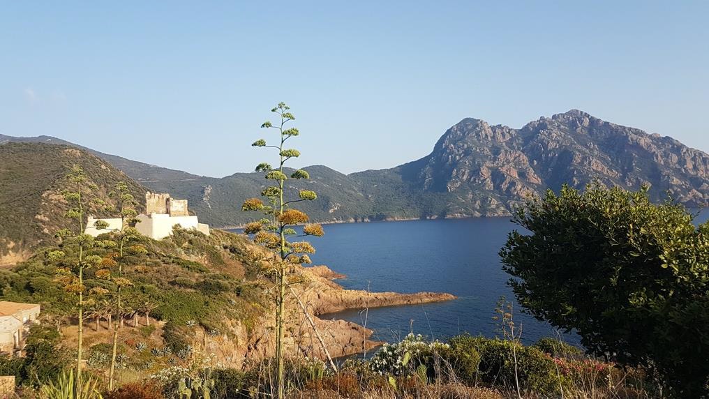 Girolata - CAI Sezione di Livorno