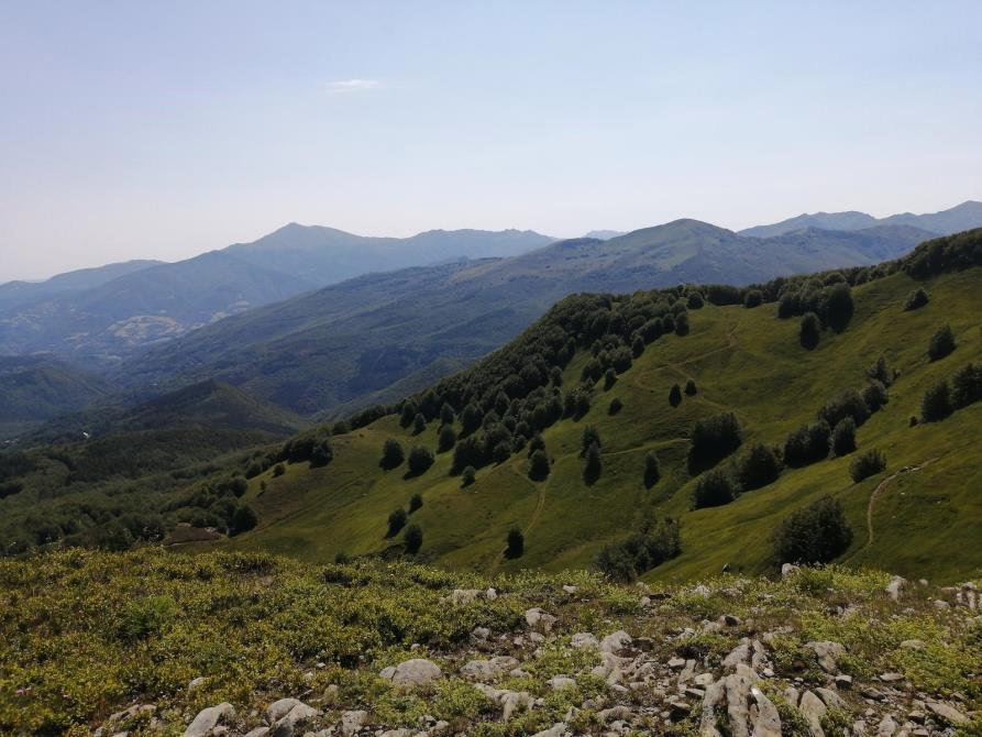 20 novembre – Monte Romecchio (escursione)