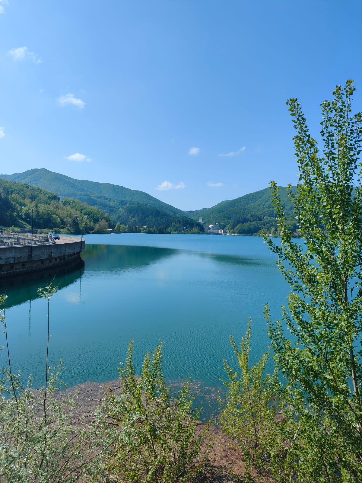 *** ANNULLATA *** 23 Giu – Anello nel Parco Regionale dei Laghi di Suviana e Brasimone