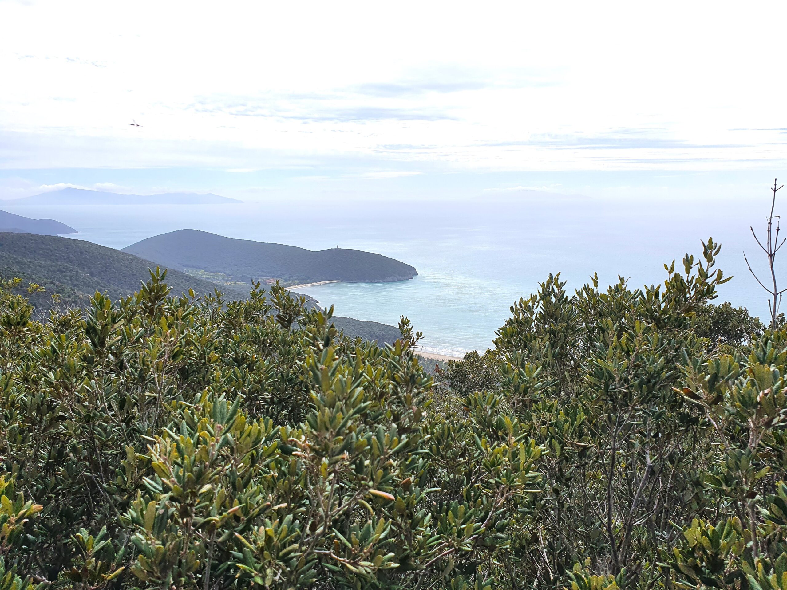 2 giu – Parco Regionale della Maremma (TAM)