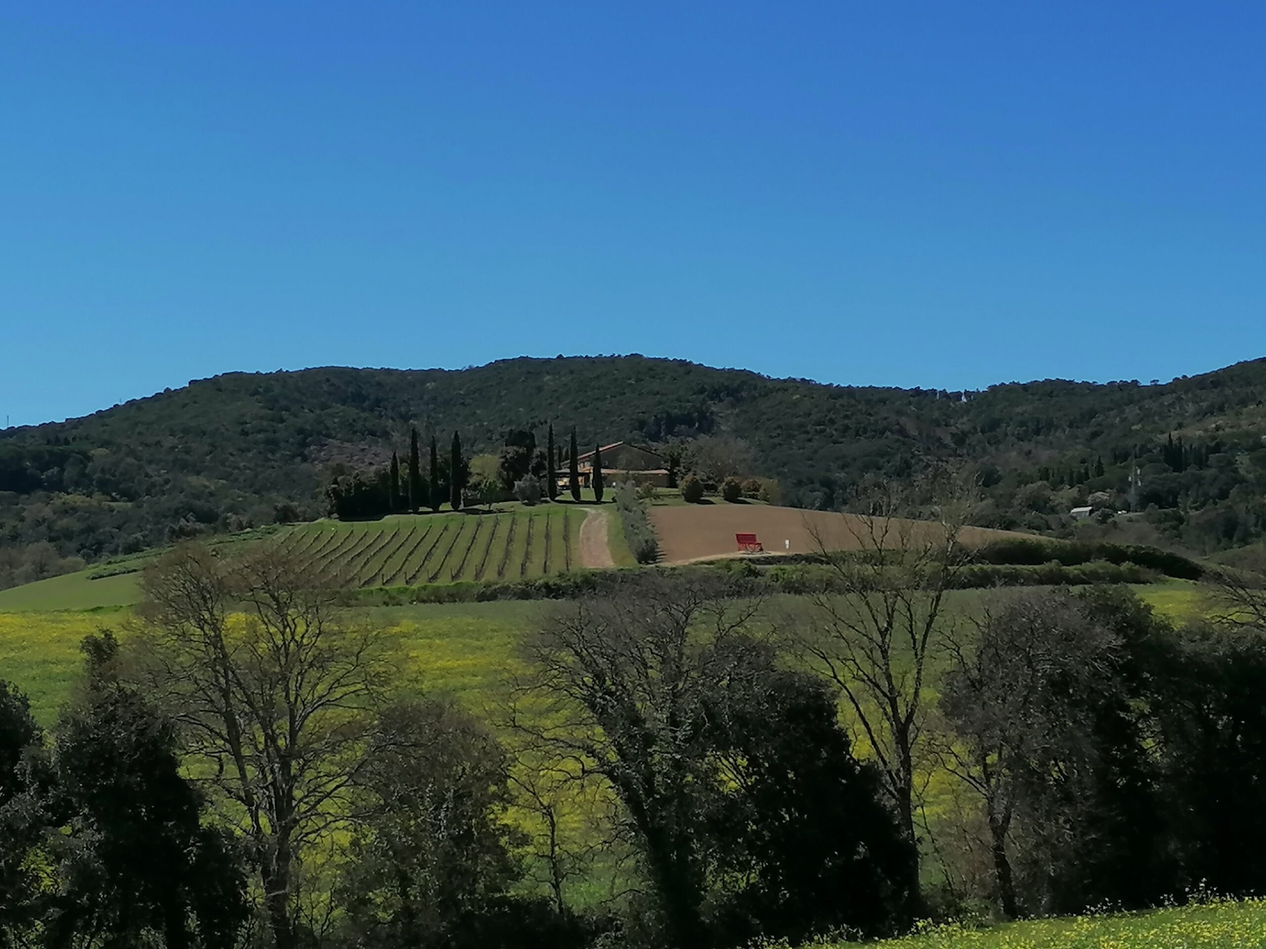 8 apr – Monti Livornesi: Parco di Camaiano (escursione)