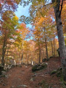 16 ottobre – Monte Amiata Montagna Madre (escursioni e cicloecursione)