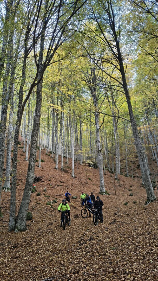 Cicloescursioni 7 img 20251024 152944637 hdr scaled original edited - CAI Sezione di Livorno