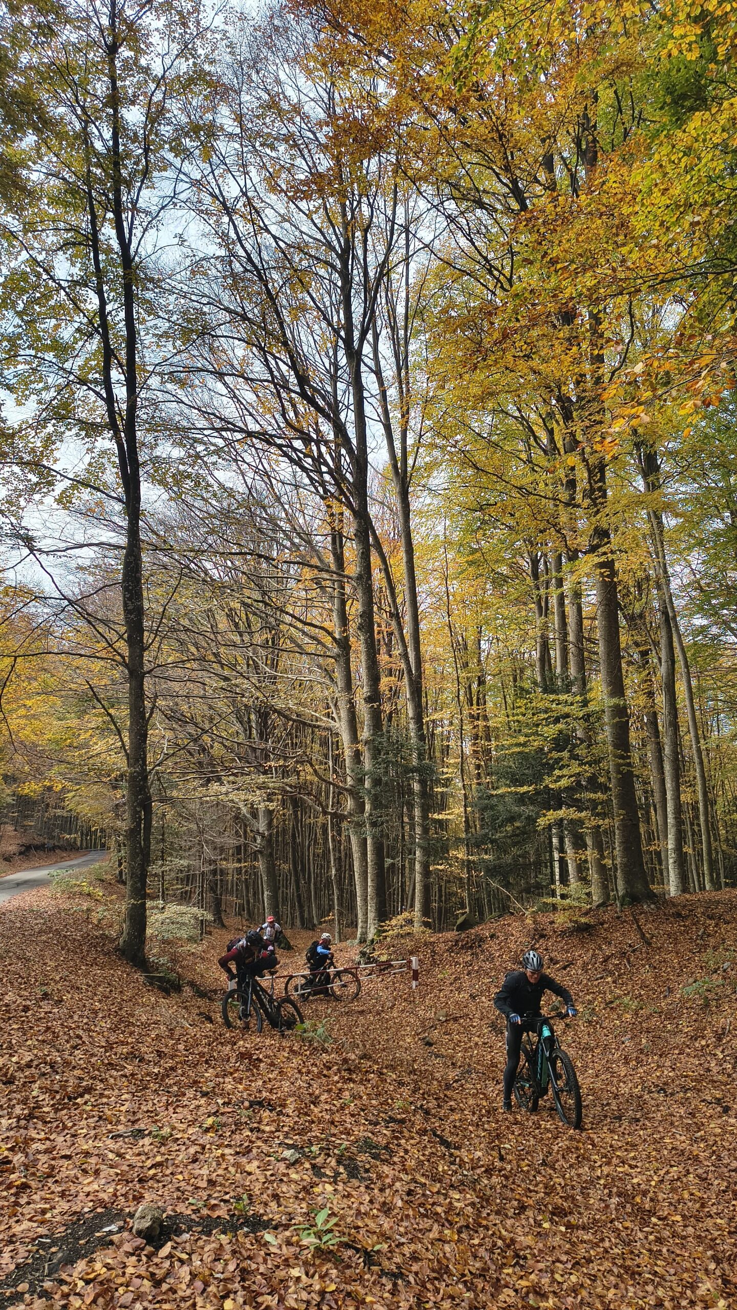 Cicloescursioni 5 img 20251025 122858159 hdr scaled original edited scaled - CAI Sezione di Livorno