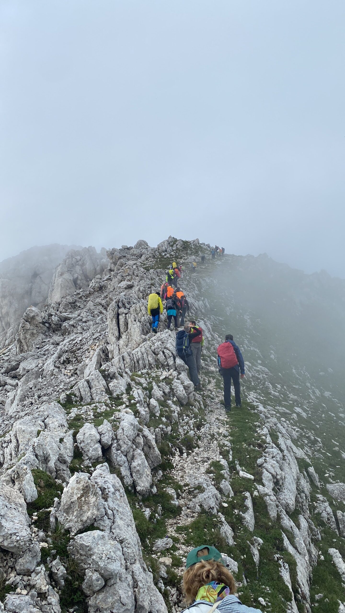 v3 1 scaled original edited scaled - CAI Sezione di Pesaro