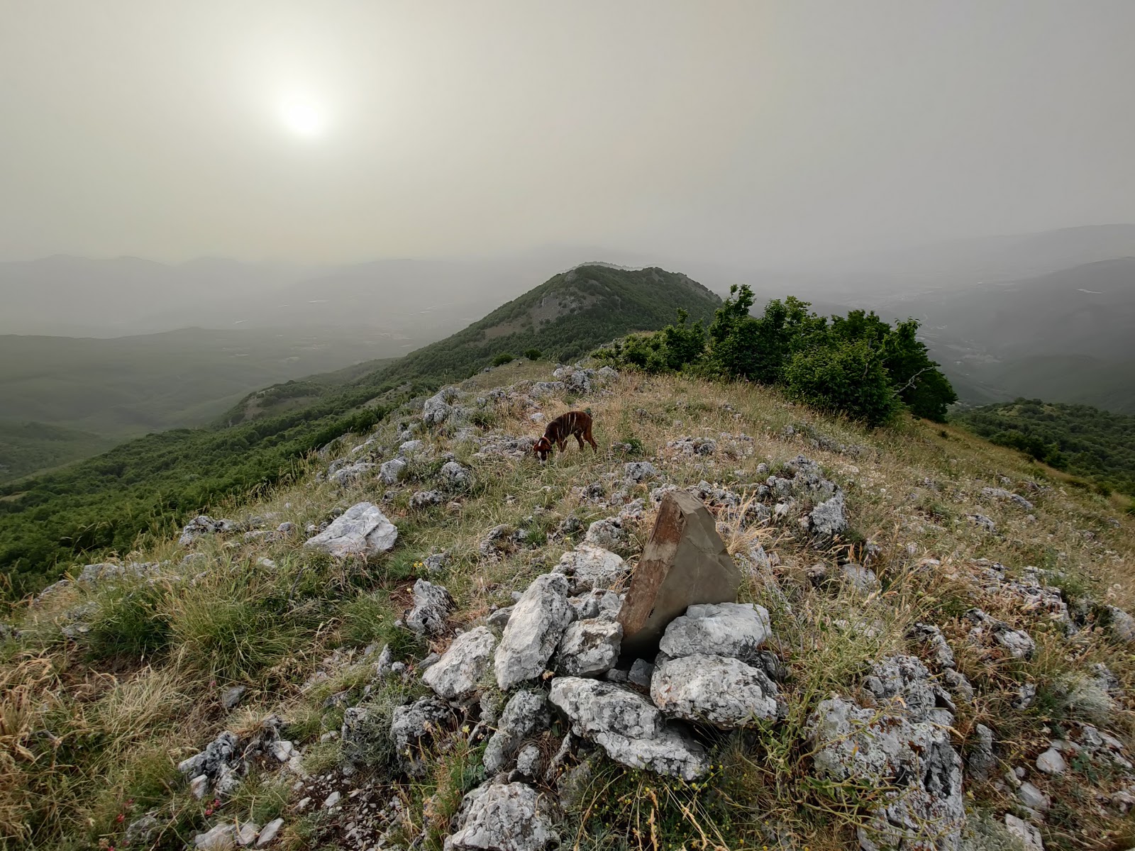 Monte Cerchiara – Schiena Rasa_domenica 3 Dicembre 2023