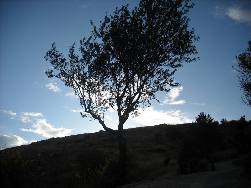 Monte Calvario “”incontriamo Le Masciàre”_domenica 13 Marzo 2022