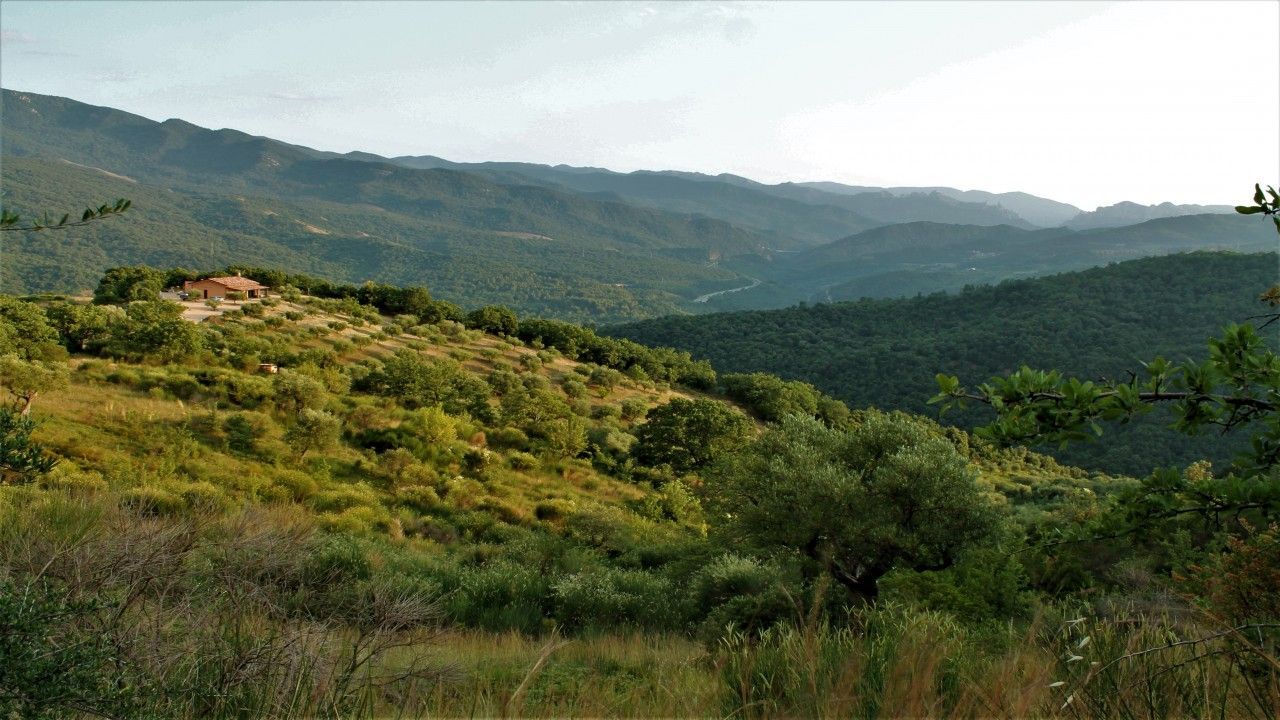 Sostenibilità E Servizi Ecosistemici Foresta Regionale Di Mantenera-malcanale_domenica 24 Marzo 2024