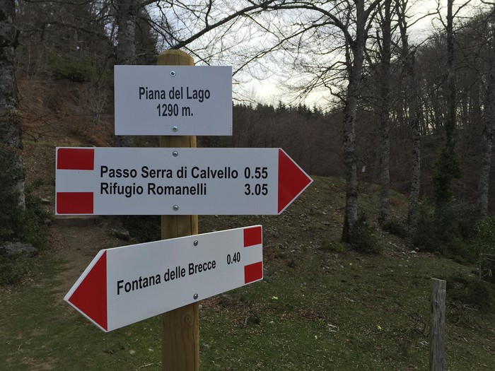 Piana Del Lago-monte Calvelluzzo_domenica 3 Luglio 2022