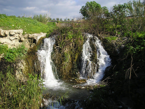 Domenica 02 Aprile 2023_da Loc. Melaggine Di Pergola A Sorgenti Dell’oscuriello Di Paterno