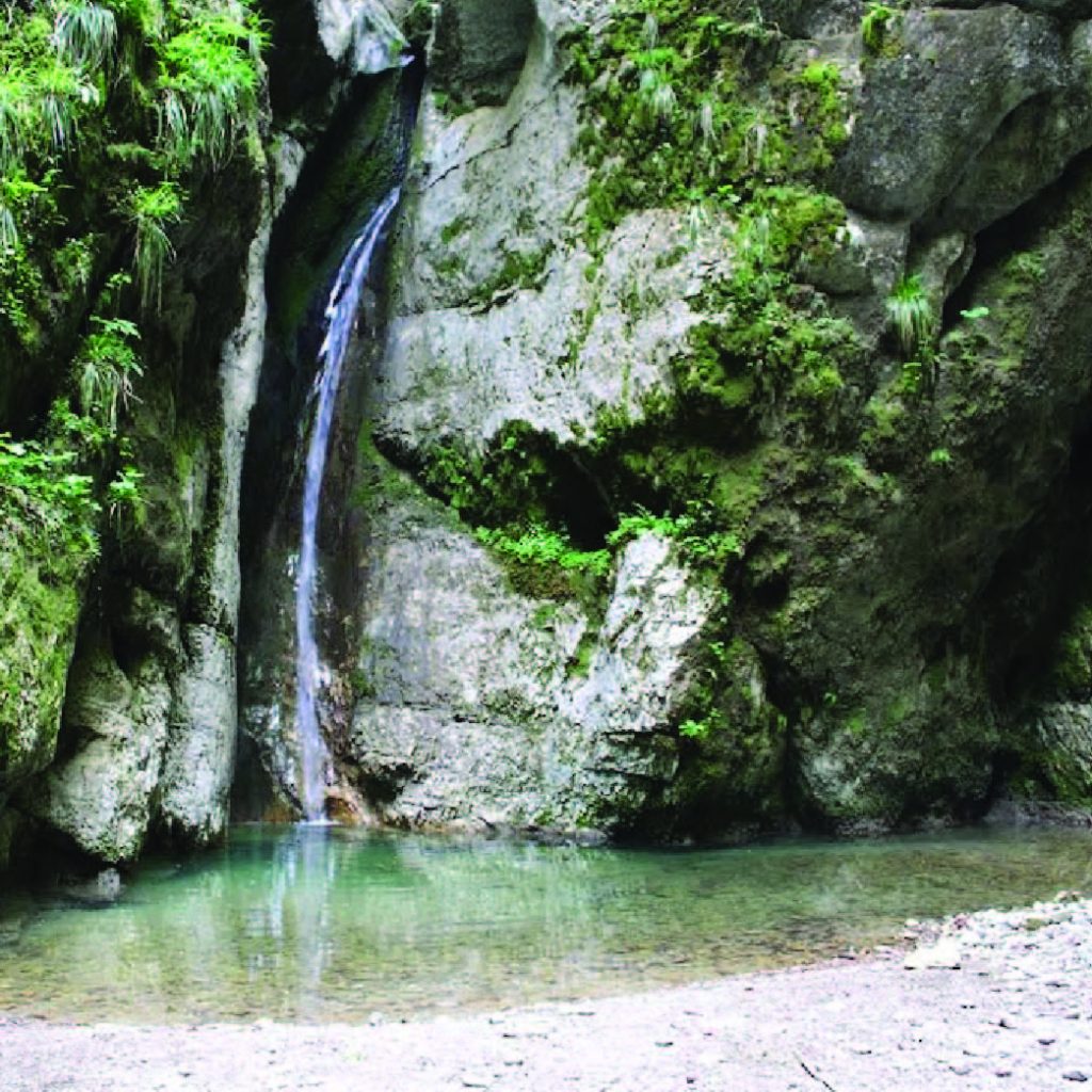 Affondatore Di Vallivona,sanza_domenica 24 Luglio 2022