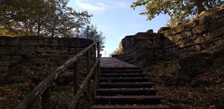 Domenica 28 novembre 2021 - Bosco Tre Cancelli - Fonti 1 Immagine1 - CAI Sezione di Potenza