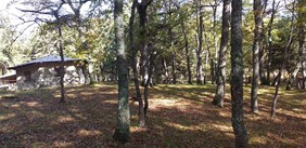 Bosco Tre Cancelli – Fonti_domenica 28 Novembre