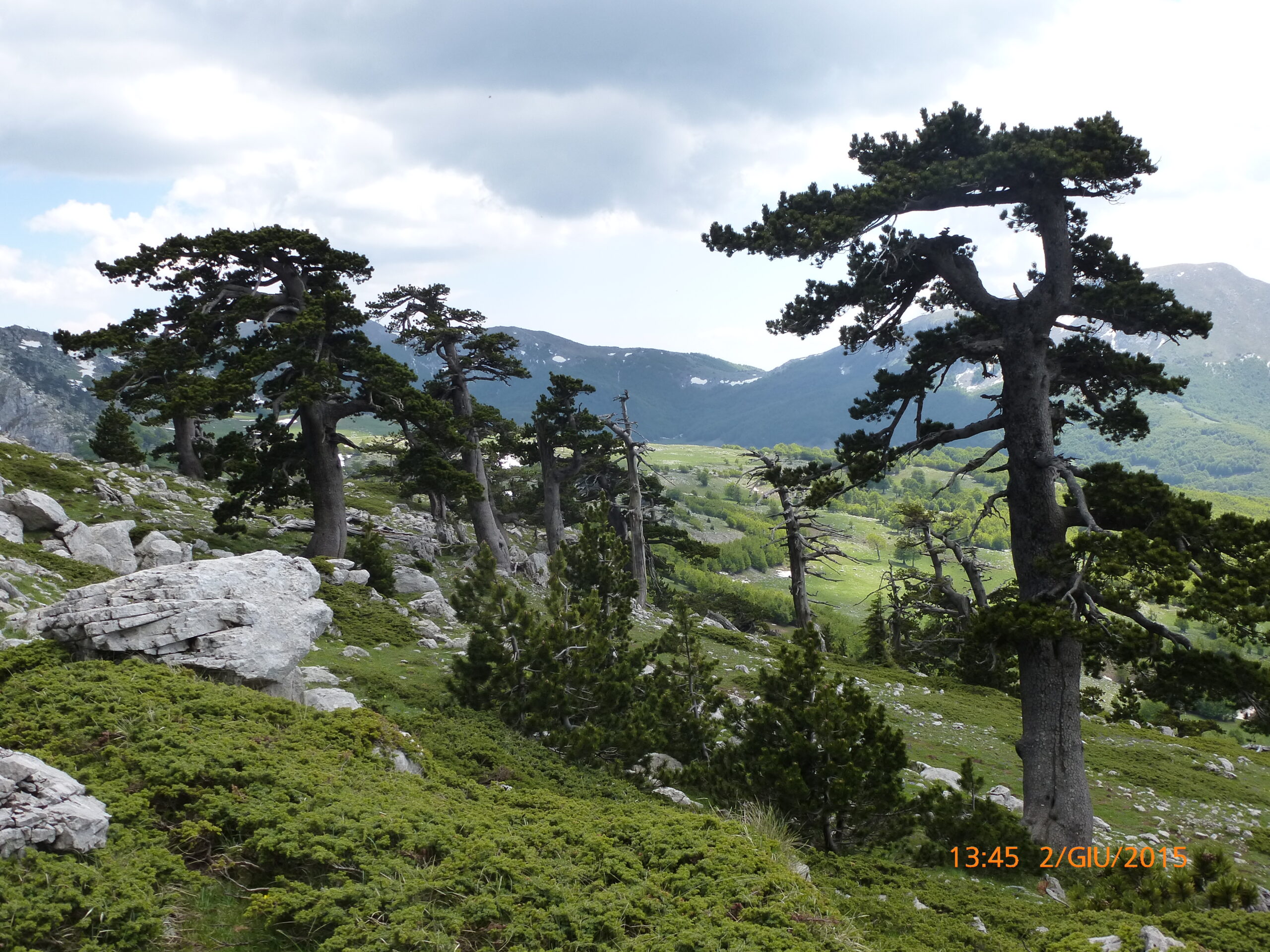 Escursione Ecologica In Occasione Della Manifestazione In Cammino Nei Parchi_domenica 12 Giugno 2022