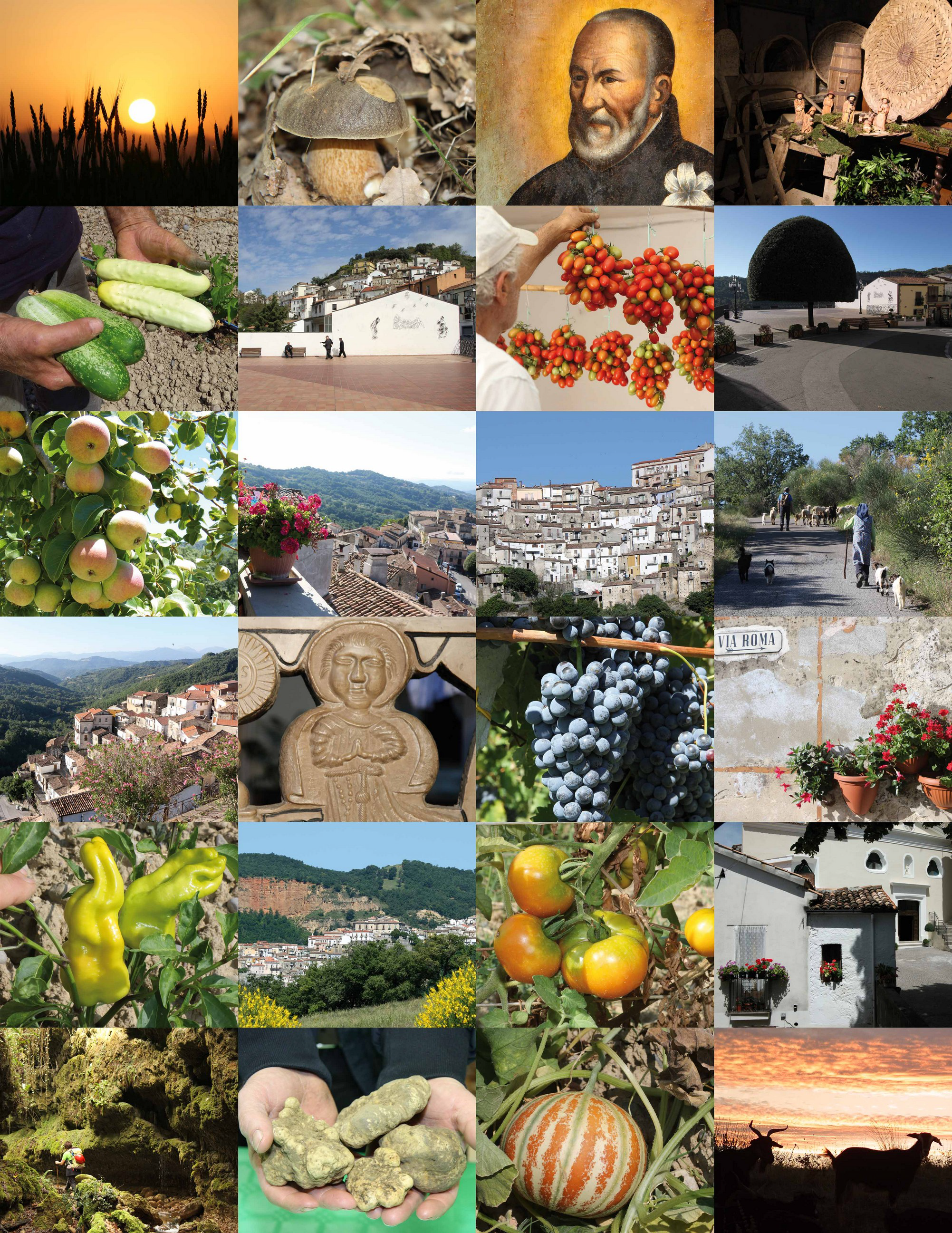 In Cammino Con Gli Agricoltori Del Parco Nazionale Del Pollino, Custodi Di Antichi Sapori E Vecchi Saperi_domenica 18 Settembre 2022